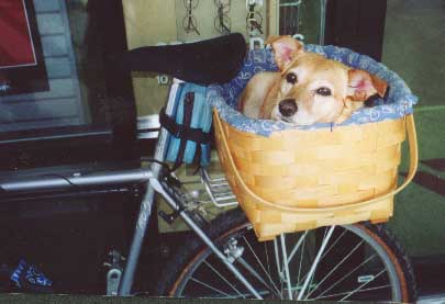 OK, enough riding!