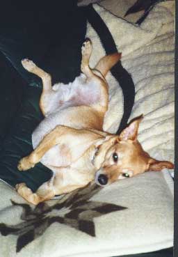 Lounging at home