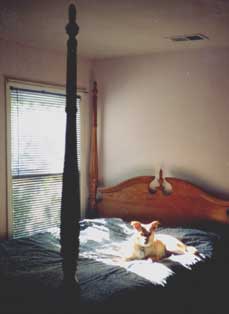 sheena waiting in bed